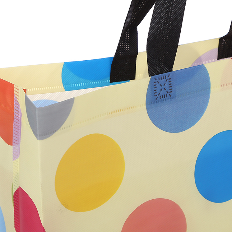 Free Sample Recycle Tote Bag Shopping Bag Non Woven Fabric Bag