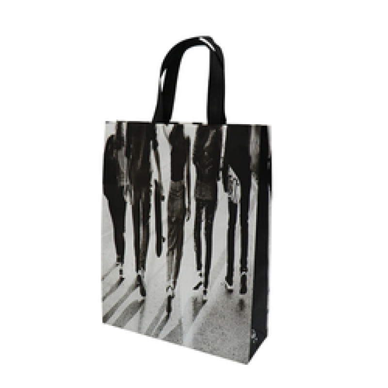Chengbai Stock Item   Hot Selling Popular Design  Reusable Laminated PP Non Woven Fabric Tote Shopping Bag