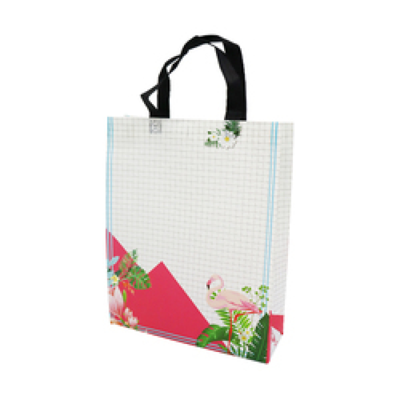 Chengbai Stock Item   Hot Selling Popular Design  Reusable Laminated PP Non Woven Fabric Tote Shopping Bag