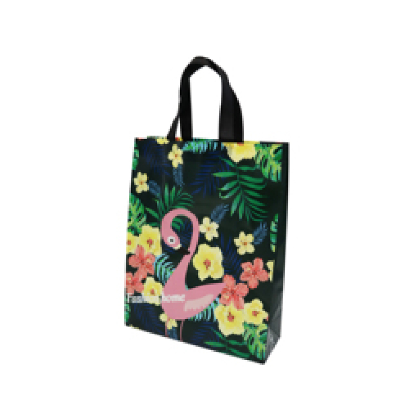 Chengbai Stock Item   Hot Selling Popular Design  Reusable Laminated PP Non Woven Fabric Tote Shopping Bag