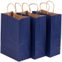 Eco Friendly Recyclable Luxurious Clothing Shoe Bag Retail Gift Shopping Paper Bags