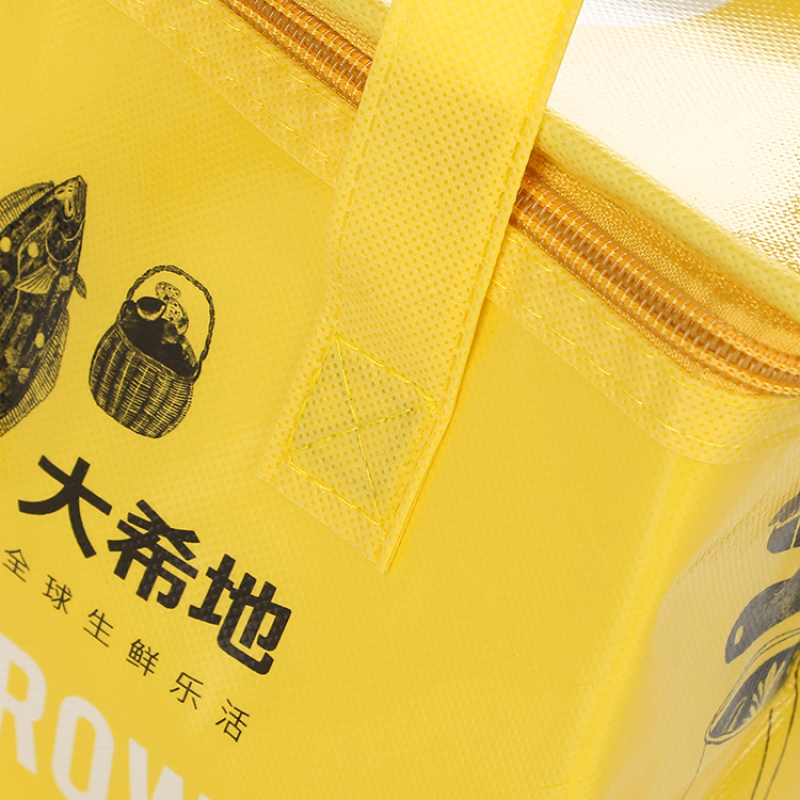 Fashion hot selling colorful recycled non woven material ice bag beach cooler bag lunch cooler bags