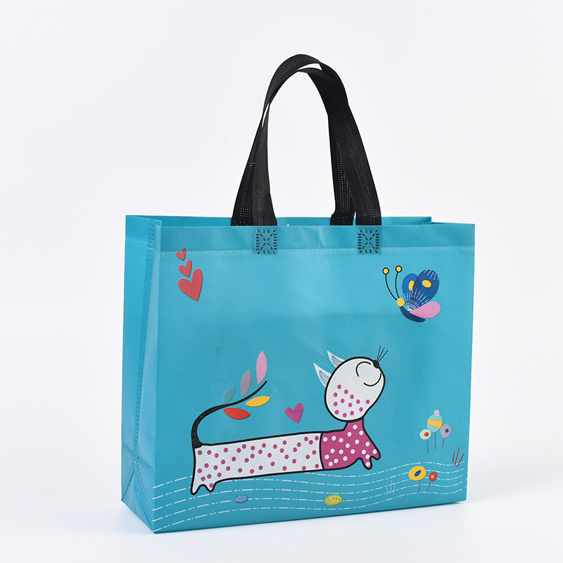 Stock reusable eco friendly portable pp laminated non woven fabric shopping bag