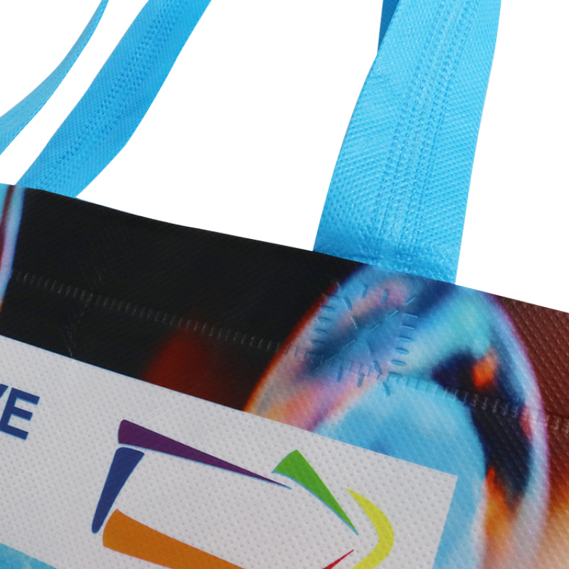 Customized Logo Printing PP Laminated Eco Friendly Non Woven Reusable Shopping Bag