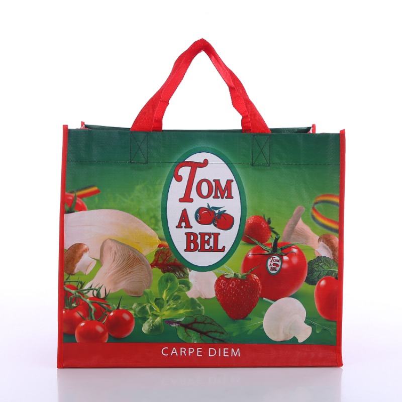 Wholesale High Quality Custom PP Woven Laminated Grocery Shopping Bag  Manufacturer