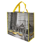 Reusable polypropylene packaging laminated ceo non woven bag shopping tote bag with custom logo