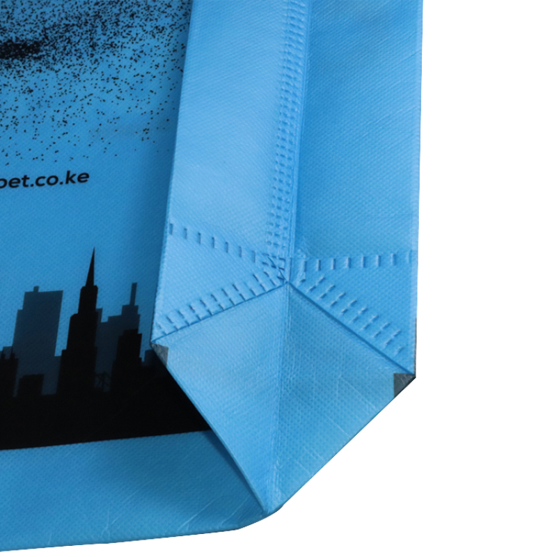 China manufacturer cheap price advertising custom non woven recycling bag