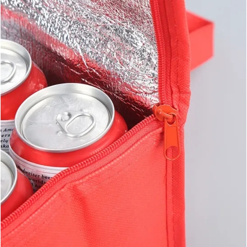 Stock plain custom logo portable non woven beer insulated cooler bag for food