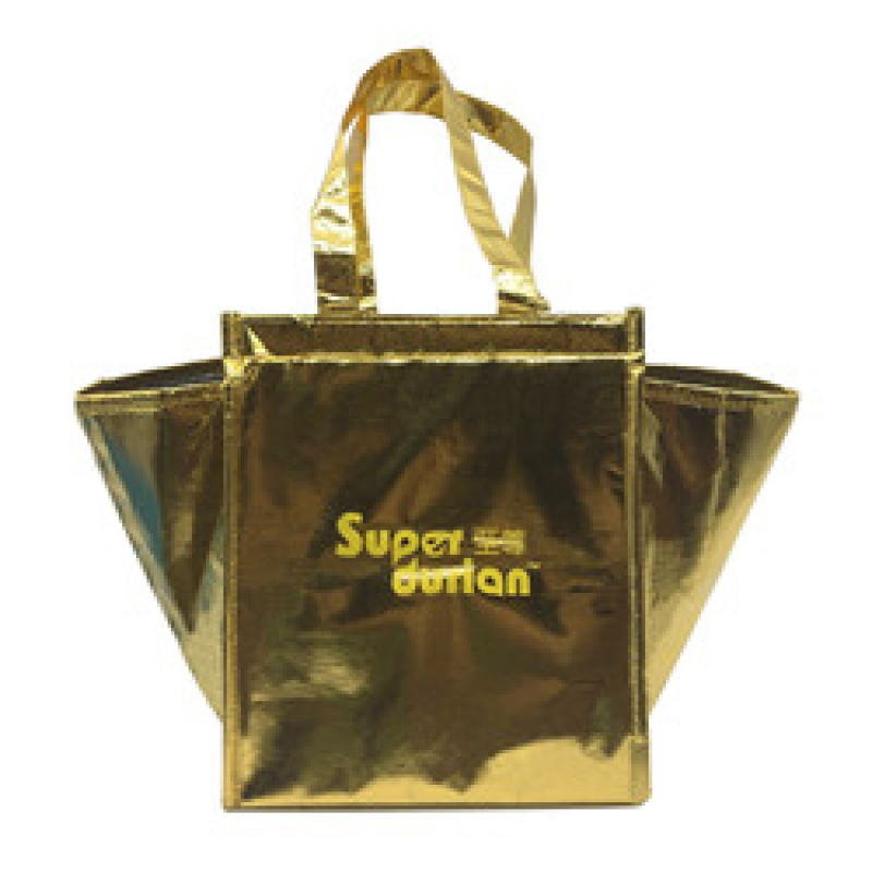 custom reusable portable pp laminated non woven insulated picnic cooler bag