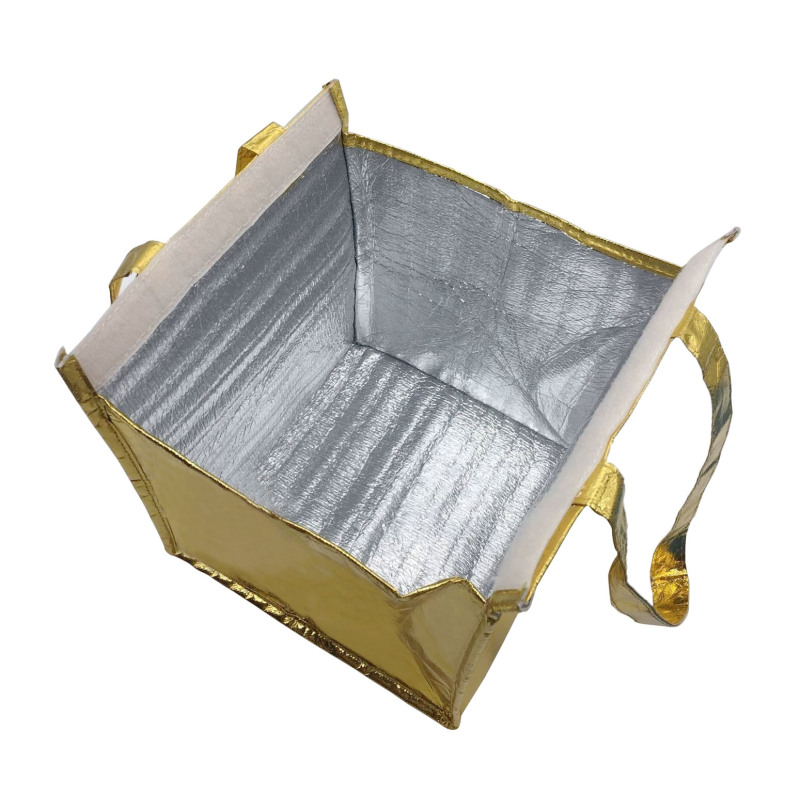 custom reusable portable pp laminated non woven insulated picnic cooler bag