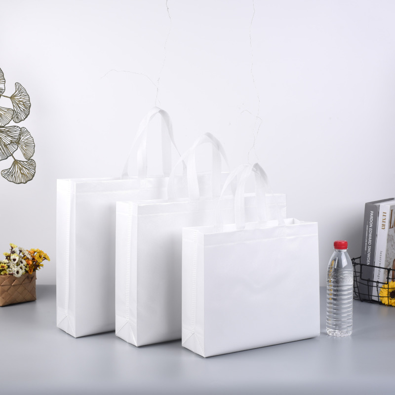 Low MOQ ready to ship fashion eco friendly reusable lamination PP non woven shopping tote carry bag