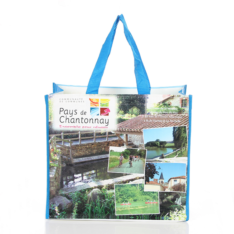 Factory wholesale eco friendly laminated custom printed pp woven shopping bag with webbing handle