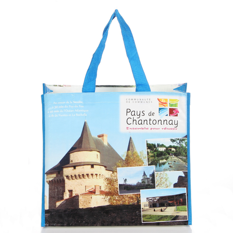 Factory wholesale eco friendly laminated custom printed pp woven shopping bag with webbing handle