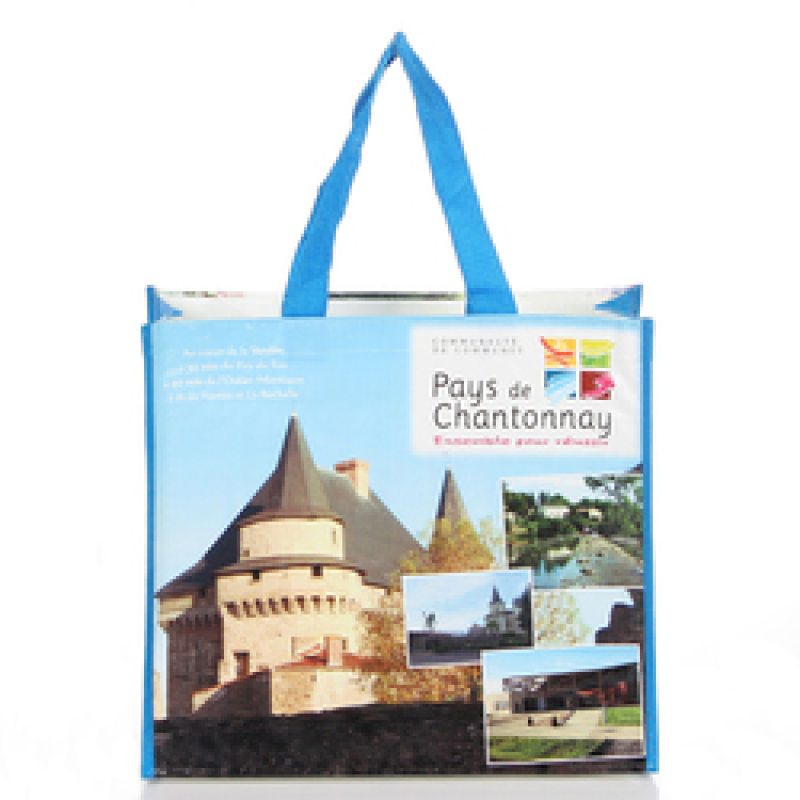 Factory wholesale eco friendly laminated custom printed pp woven shopping bag with webbing handle