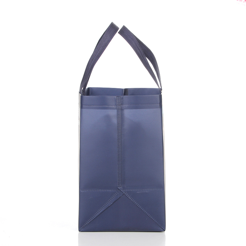 factory price fashional womens tote reusable shopping bags non woven bag