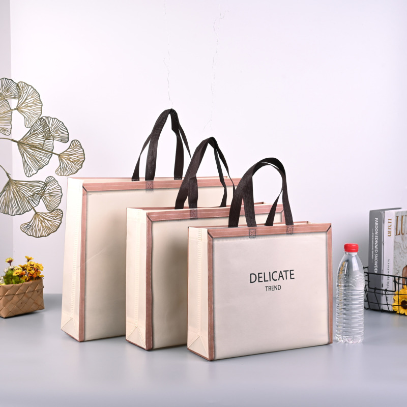 Promotional luxury portable custom logo pp lamination non woven shopping clothing packaging tote bags