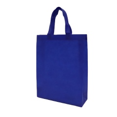 Promotional  Wholesale Cheap Price  Reusable Ultrasonic Heat Sealed Non Woven Shopping Tote  Bag