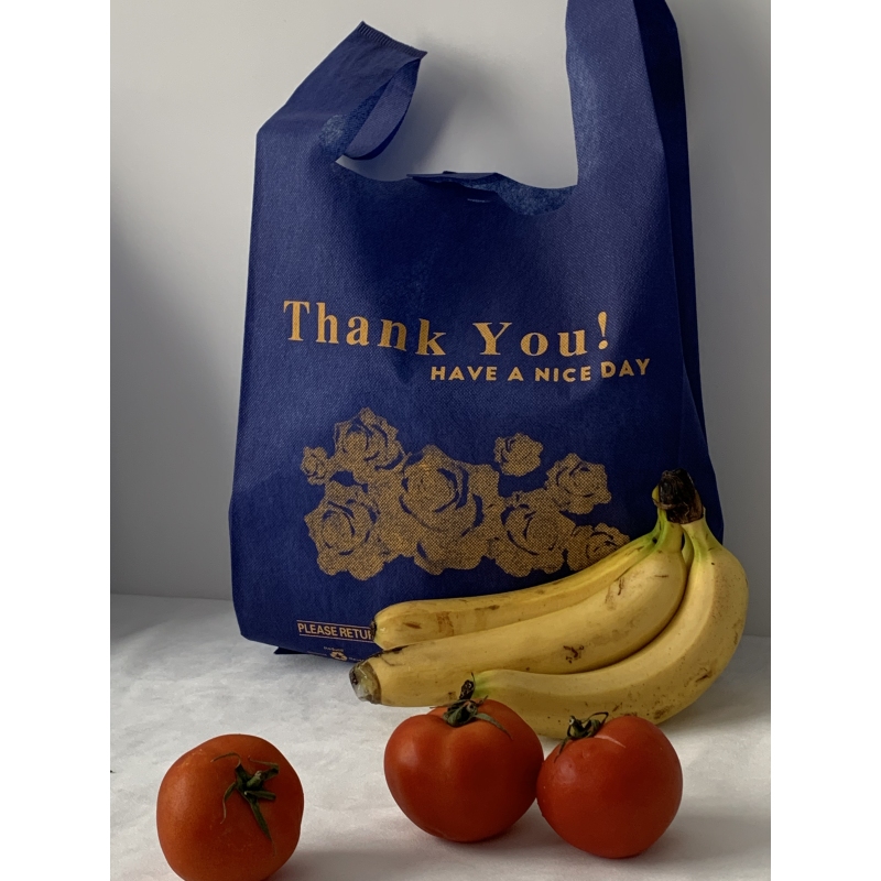 100% Pp Spunbond Economy Nonwoven Popular Bag Non Woven Fabric Eco Friendly Reusable Nonwoven Vest Handle Bagbag