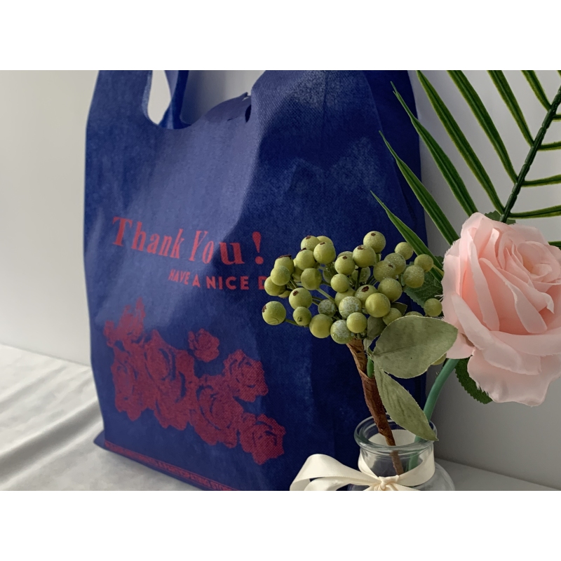 100% Pp Spunbond Economy Nonwoven Popular Bag Non Woven Fabric Eco Friendly Reusable Nonwoven Vest Handle Bagbag
