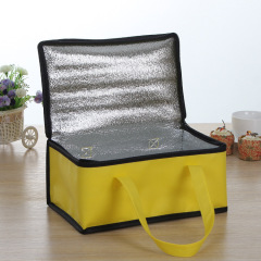 Wholesale Custom logo portable waterproof non woven picnic lunch insulated cooler bag