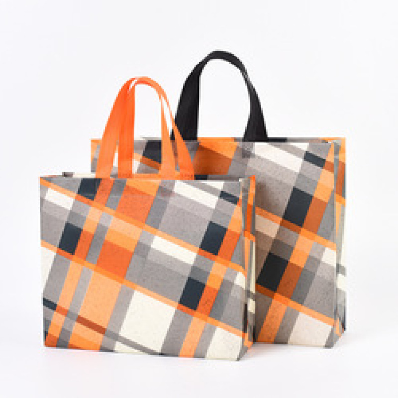 Low MOQ custom logo eco friendly pp laminated non woven fabric shopping bag