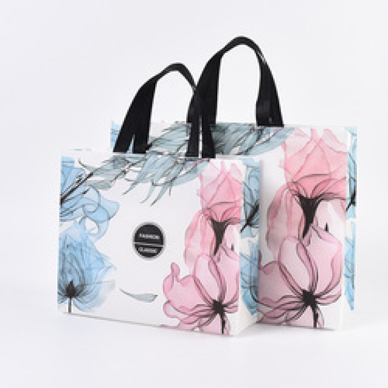 Low MOQ custom logo eco friendly pp laminated non woven fabric shopping bag