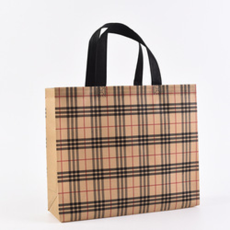 Low MOQ custom logo eco friendly pp laminated non woven fabric shopping bag
