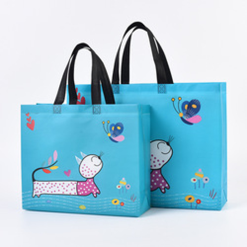 Low MOQ custom logo eco friendly pp laminated non woven fabric shopping bag