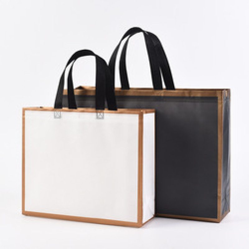 Low MOQ custom logo eco friendly pp laminated non woven fabric shopping bag