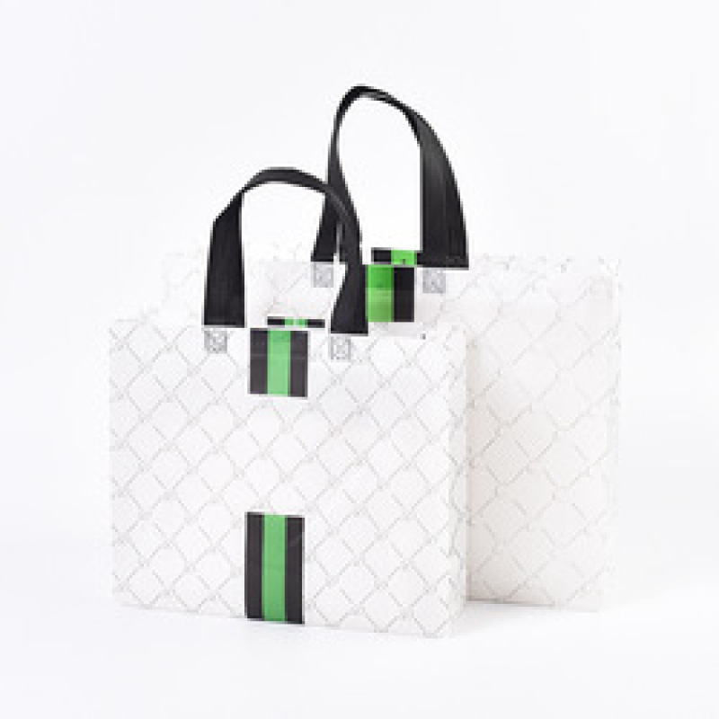 Low MOQ custom logo eco friendly pp laminated non woven fabric shopping bag