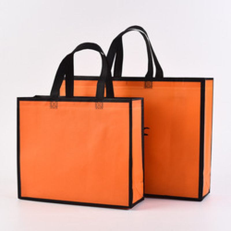 Low MOQ custom logo eco friendly pp laminated non woven fabric shopping bag