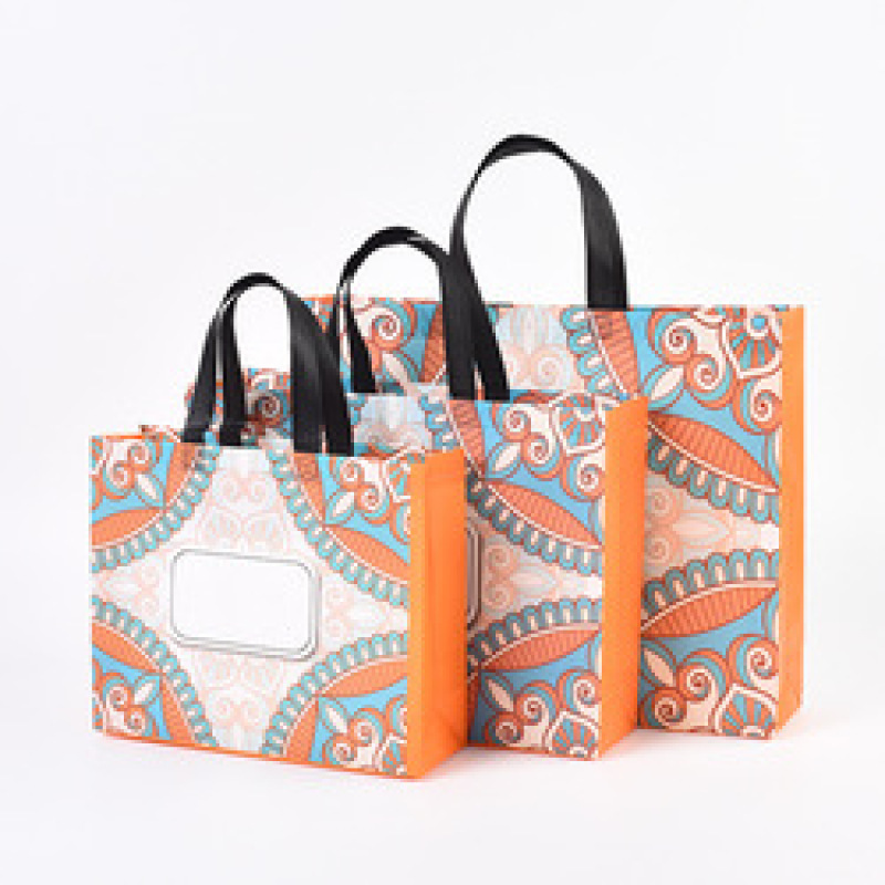 Low MOQ custom logo eco friendly pp laminated non woven fabric shopping bag