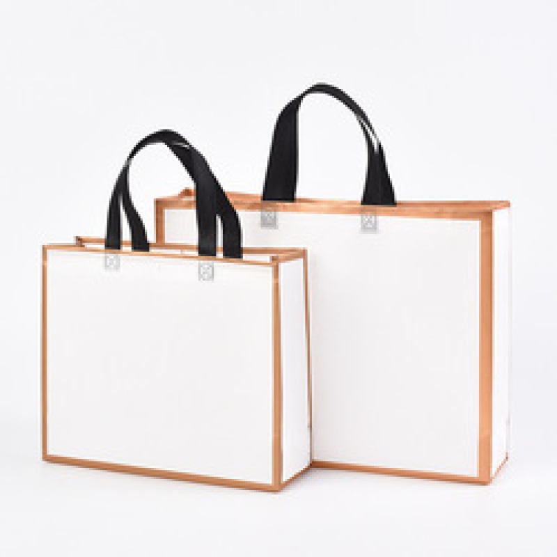 Low MOQ custom logo eco friendly pp laminated non woven fabric shopping bag