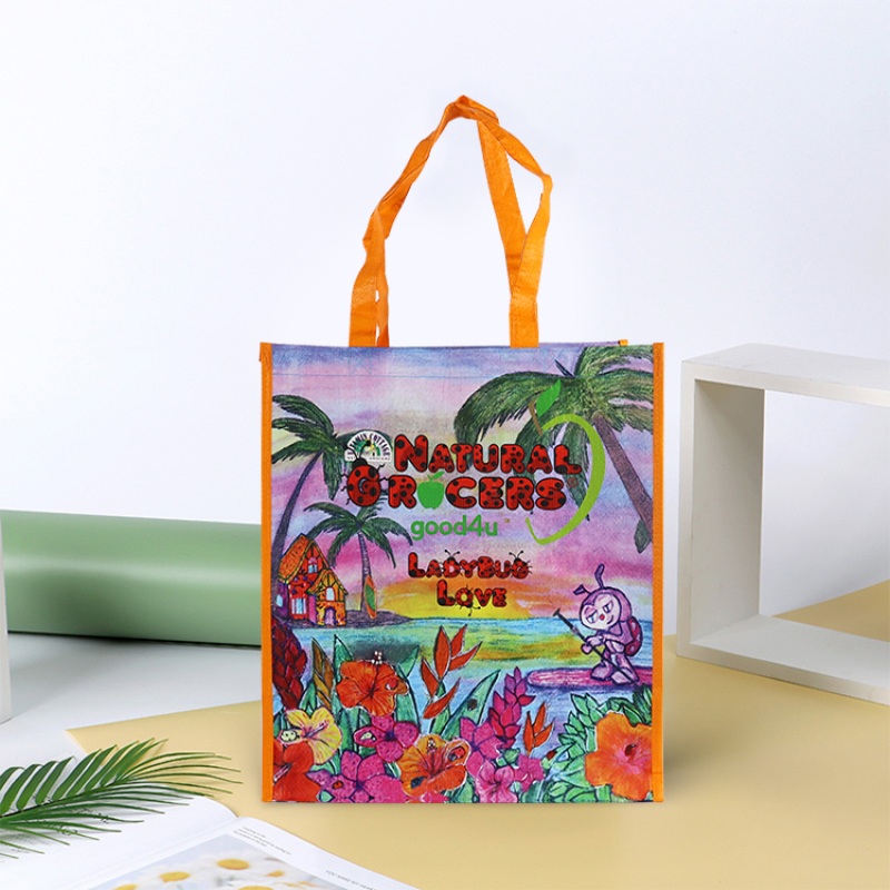 Waterproof Reusable Customized Laminated PP Woven Grocery Shopping Tote Bag