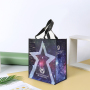 Waterproof Reusable Customized Laminated PP Woven Grocery Shopping Tote Bag