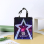 Waterproof Reusable Customized Laminated PP Woven Grocery Shopping Tote Bag