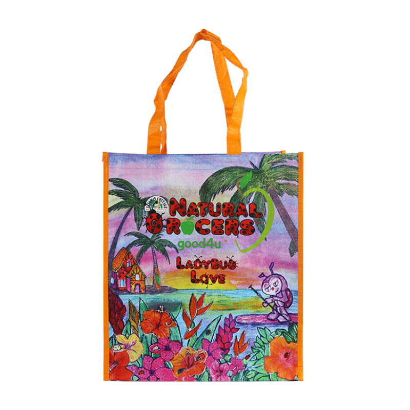 Waterproof Reusable Customized Laminated PP Woven Grocery Shopping Tote Bag