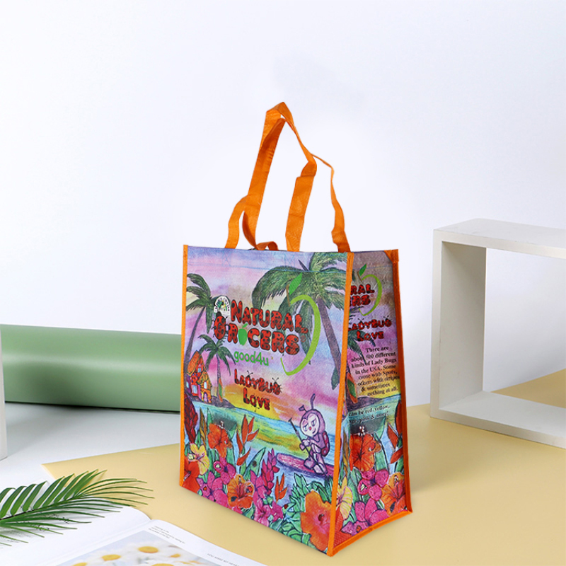 Waterproof Reusable Customized Laminated PP Woven Grocery Shopping Tote Bag
