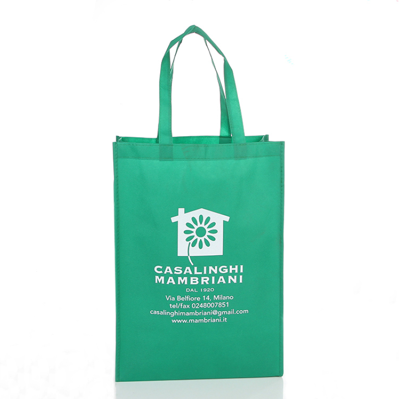 reusable customized printable pattern portable pp non woven fabric shopping bag with logo