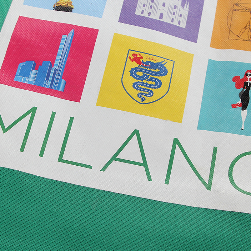 reusable customized printable pattern portable pp non woven fabric shopping bag with logo