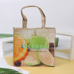 Reusable Polypropylene Packaging Laminated ECO Non woven Bag Shopping Tote RPET Bag PP Woven Bag with Custom Logo
