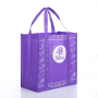 eco friendly portable extended handles printable logo grocery non woven shopping bag