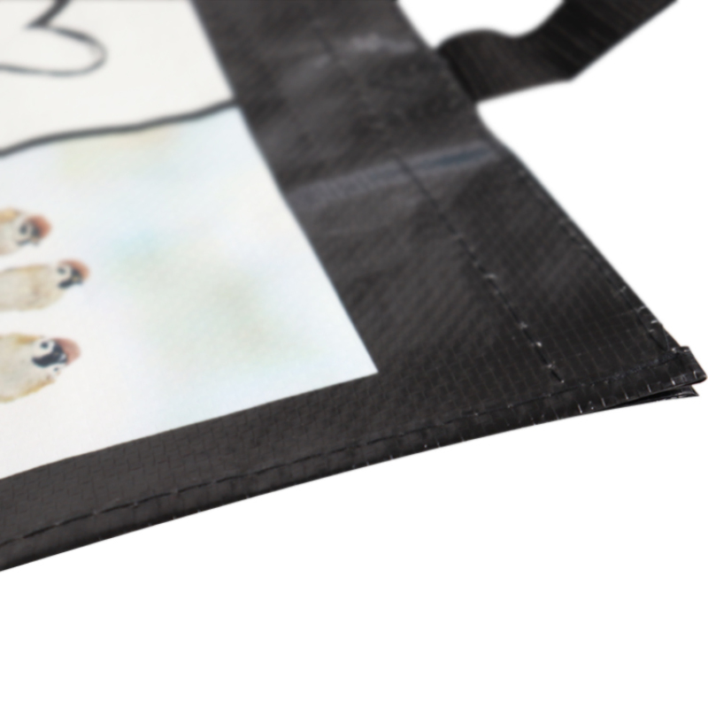 hot selling eco friendly reusable waterproof laminated custom pp woven shopping bag