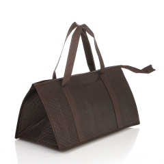 Hot Selling Custom Logo Cooler Bag Food Delivery Non -Woven Cooler Insulated Thermal Non Woven Lunch Bags