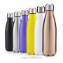 Hot Sales Double Wall Stainless Steel Sport Water Bottle