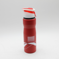Customizable ECO Friendly Aluminium Water Bottle With Handle Lid