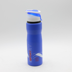 Customizable ECO Friendly Aluminium Water Bottle With Handle Lid