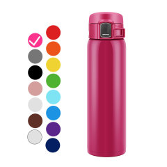 BPA Free Eco-Friendly 500ml Stainless Steel Insulated Vacuum Thermos Water Bottle