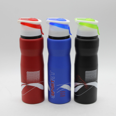 Customizable ECO Friendly Aluminium Water Bottle With Handle Lid