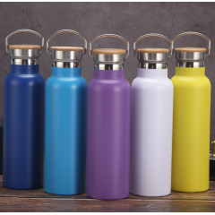 750ML Eco Friendly Water Bottle Unbreakable Portable Beach Thermos Recycled Gym Vacuum Flask With Handle